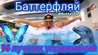 БАТТЕРФЛЯЙ, 14 ЛУЧШИХ УПРАЖНЕНИЙ #плавание #swimming #butterfly