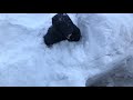 snowplow debris aka karma gets dad’s knee for teasing son