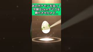 あのポケモンを狙って今朝も￼2kmタマゴを孵化させたけど…