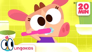 What do you do during the day?📅 DAILY ROUTINE SONGS FOR KIDS 🎶 Lingokids