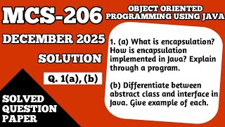 P1- Encapsulation in Java | Abstract Class and Interface Difference in Java | MCS206 Dec 25 Solution