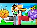 Blox Fruits Decides our Fruit in Minecraft