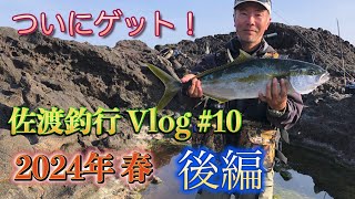 2024年春 佐渡釣行Vlog#10 後編 ヒラマサチャレンジ２年目でようやくゲット！