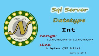 SQL Server: (L5) How to use the INT data type.