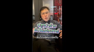 ปลูกป่าด้วยต้นไม้มหัศจรรย์ พิเศษยังไง ใช้ต้นอะไรปลูก ไปรับชมกันครับ