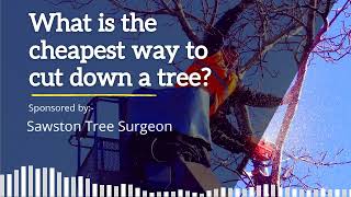 What Is The Cheapest Way To Cut Down A Tree? Sawston Knows!