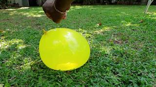 බැලුන් එකට වතුර පුරවලා හිල් කරල බලමු😜 water balloon #slowvideo #foryou #viralvideo #nature