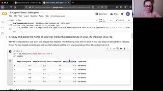 Basic Statistics Colab Notebook Instructions