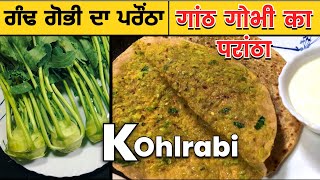 ਗੰਢ ਗੋਭੀ ਦਾ ਪਰੌਂਠਾ । Gandgobhi da Paratha | गांठ गोभी का परांठा । KOHLRABI