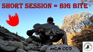 Big Cod on Weedless Plastic | The Casting Call