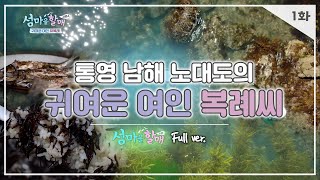 [🌊섬마을할매 시즌4]  EP01 풀버전 I 노대도의 귀여운 여인 복례씨