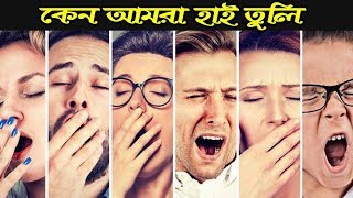 কেন আমরা হাই তুলি || What is a yawn and why we do it? || Bengali