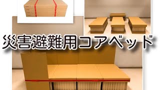 組み立て簡単　災害避難用　段ボールベッド　簡易ベッド