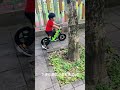 幼兒禮物首選，小恐龍滑步車～小孩的放電神器！！ 團購 團購 滑步車 平衡車 小恐龍 騎車 生日禮物 幼兒 禮物 妮可喵