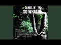 So What (Original Mix)