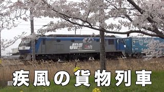 【貨物列車】2021年3月23日他撮影の疾風の貨物列車 全27本　春らしい桜と菜の花と大迫力の貨物列車の高速通過とジョイント音をお楽しみください！後半は年に一回の桜と貨物列車のコラボもあります！