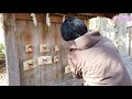 台湾人の寺社巡り・京都 日吉神社