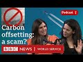 Does carbon offsetting actually work? - What in the World podcast, BBC World Service