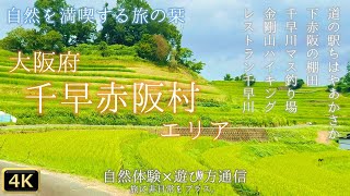 【旅の栞】大阪府｜千早赤阪村で自然体験｜道の駅ちはやあかさか/下赤阪の棚田/千早川マス釣り場/金剛山/レストラン千早川【4K】