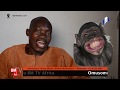 Yiga ebifa ku Nkima ( Monkey Clan ) | Ekinogezi Ky'olulimi Oluganda