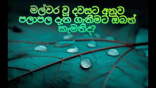 පලාපල