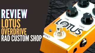 REVIEW LOTUS OVERDRIVE RAD CUSTOM SHOP