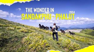 The Wonder in Sandakphu to Phalut | 2024