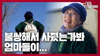 🌊6살짜리가 애기 업고....하루에 117톳까지 팔아봤어 | 남도지오그래피 250226 KBS방송