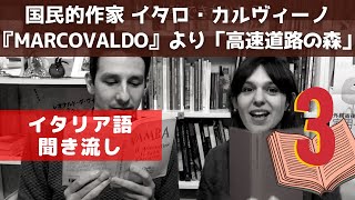 イタリア語講座　イタロ・カルヴィーノの作品朗読 その３【マルコヴァルド　冬・高速道路の森】 Italian Audio Book