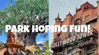 Animal Kingdom & Hollywood Studios/September 2022