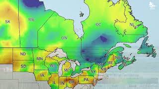 Waterfowl Breeding Conditions Update - February 2025