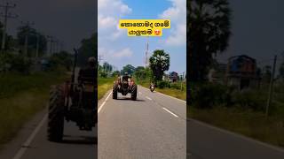 ගමේ උන්ගෙ යාලුකම් කොහොමද 😍 #shorts #reels #road #roadtrip #foryou #foryoupage #travel#youtubeshorts