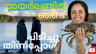 അയർലണ്ടിൽ ഇങ്ങനെ ഞണ്ട് പിടിച്ചു തിന്നാം. Crab-Catching and Cooking Experience in Ireland!