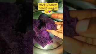 വയലറ്റ് കാച്ചിൽ കഴിച്ചിട്ടുള്ളവർ Like അടി 😋💜