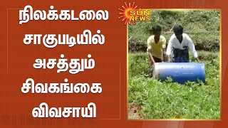 நிலக்கடலை சாகுபடியில் அசத்தும் சிவகங்கை விவசாயி | groundnut cultivation | Sivagangai farmer