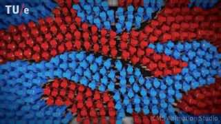 Dynamics of Crowds