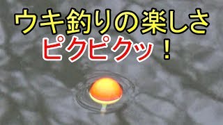 池で小物釣り～ウキの繊細で静かなピクピクを楽しむ