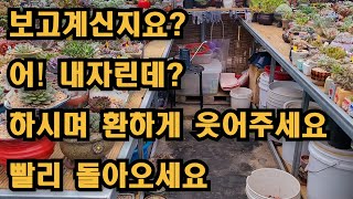 건강한 모습으로 빨리 복귀하시길 간절히 바라는 마음입니다. (기도 드립니다)