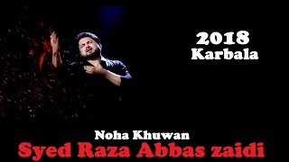 Syed Raza Abbas Zaidi | Noha Khuwan | 2018 | in Karbala | Short Clip | Must watch