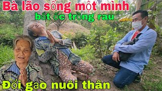 Bà lão sống một mình bắt ốc trồng rau đổi gạo nuôi thân