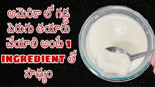 అమెరికా లో గడ్డ పెరుగు తయారు చేయాలి అంటే 1 ingredient తో  సాథ్యం//how to make homemade curd/anuvlogs