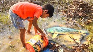 Catching Carp Fish After Rain | Amazing Hand Fishing Video | Primitive | Primitive Survival #fishing