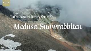 Amazing China: Nature Medusa Snowrabbiten《美丽中国：自然》三江并流系列（英配版）