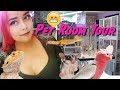 Pet Room Tour | Where do I keep my pets? Pet Room Tour | Where do I keep my pets?