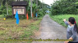 Ep.374🧲#บ้านสวนรีสอร์ทสาริกา 🌴 #ที่ดินราคาถูก อ.เมือง จ.นครนายก สาธารณูประโภคครบ #ที่ดินถมแล้ว