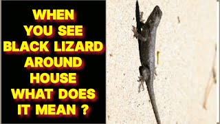 WHEN YOU SEE A BLACK LIZARD AROUND YOUR HOUSE WHAT DOES IT MEAN ?