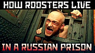 WHO IS A ROOSTER IN A RUSSIAN PRISON  / WHY THEY ARE HUMILIATED