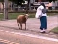 Ndivyo ulivyo