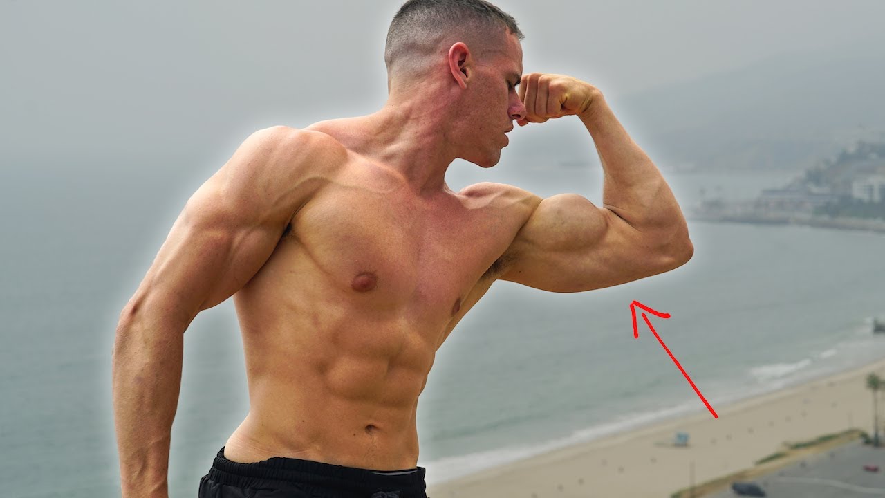 Long Bicep Vs Short Bicep: Genetics Explained Inspire US | Atelier-yuwa ...