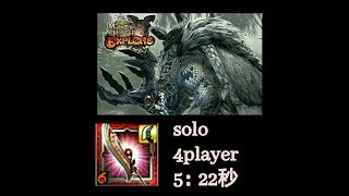 MHXR敌手solo多人黑冠龙5：22秒(再见猫车狩猎团)